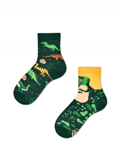 Detské ponožky Dinosaurus