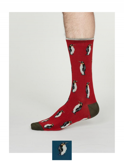 Ponožky Tučniak
