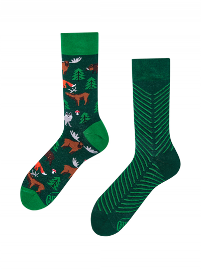 Veselé ponožky V lese
