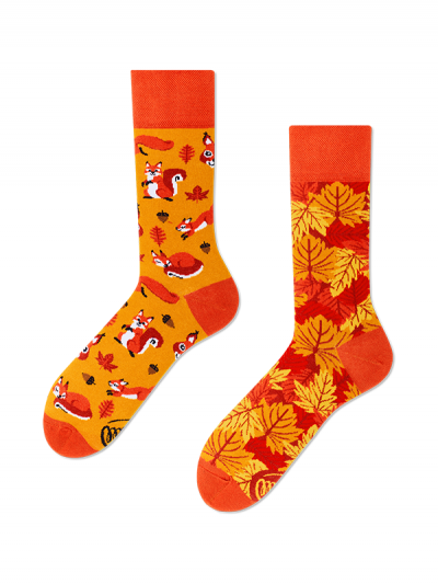Veselé ponožky Veveričky